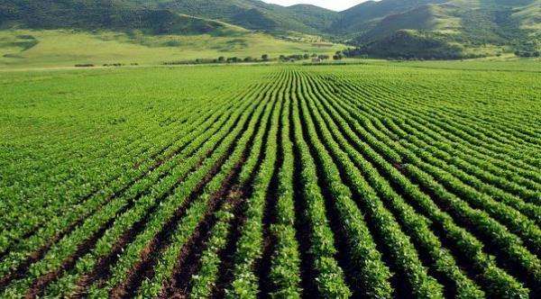 胜诉案例:村民复议山重水复,法院迎来柳暗花明——村民告赢省政府札记